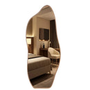 Espelho Grande Orgânico com Moldura 150x60cm